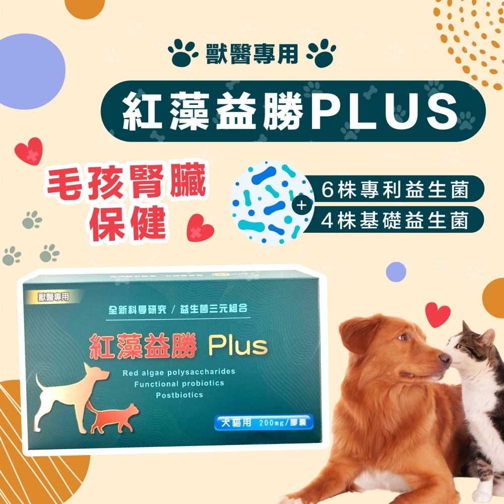紅藻益勝PLUS